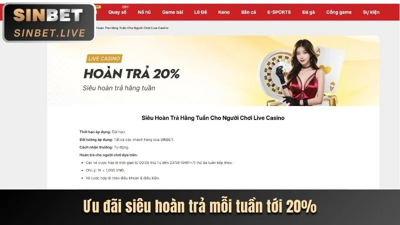 Cá cược thể thao trên ứng dụng US8